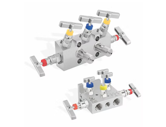 5 Valve Manifolds