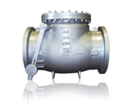 Swing Check Valve CHV 108 Series